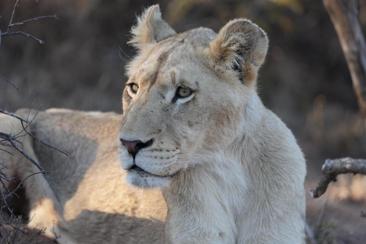 Mont Eco Game Reserve 몬터규 외부 사진