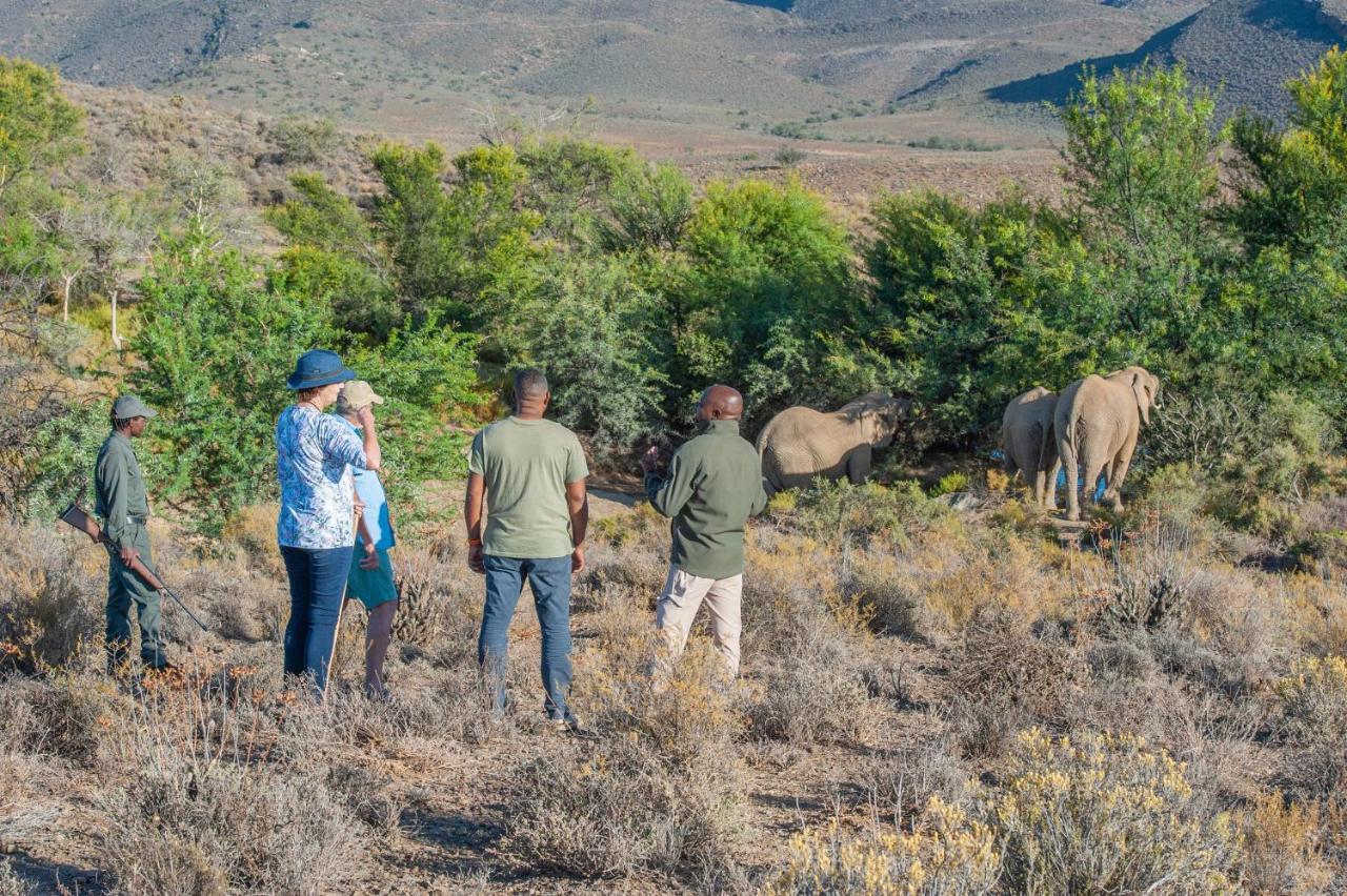 Mont Eco Game Reserve 몬터규 외부 사진