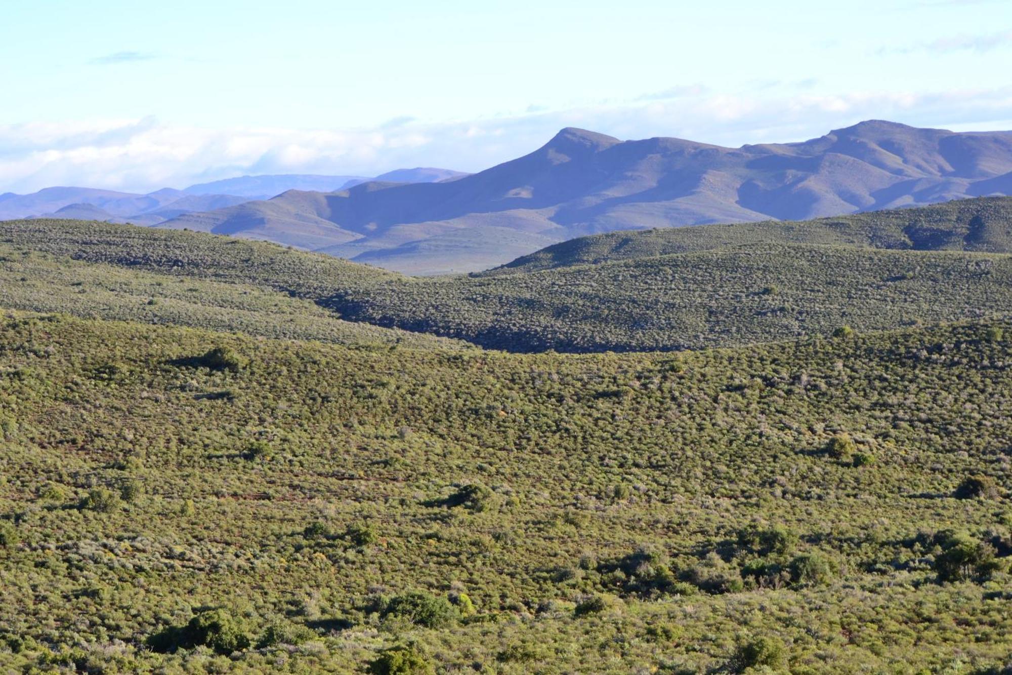 Mont Eco Game Reserve 몬터규 외부 사진